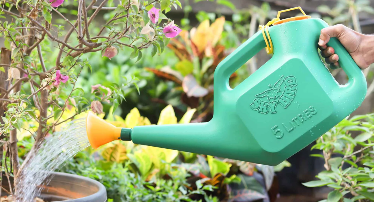 Plant Watering Cans: Nurturing Your Greenery with Precision and Style